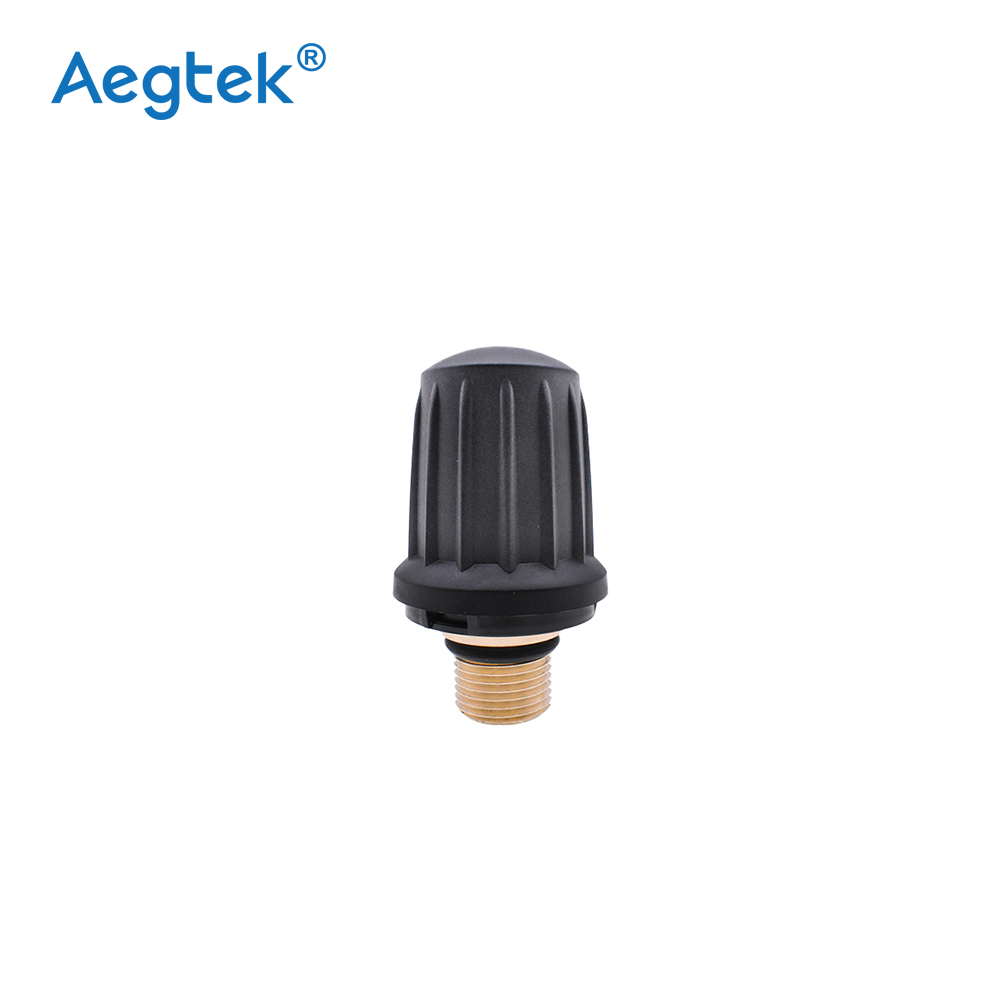 Factory Direct High-Security Valve Long Version Compatible with Karchers SG4 SG2 Steam Cleaner